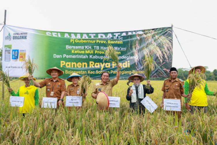 Produksi Gabah dan NTP Provinsi Banten Meningkat